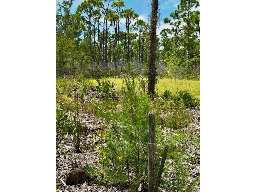 3561 Pink Ibis Drive Saint James City FL 33956 2025010854 image6