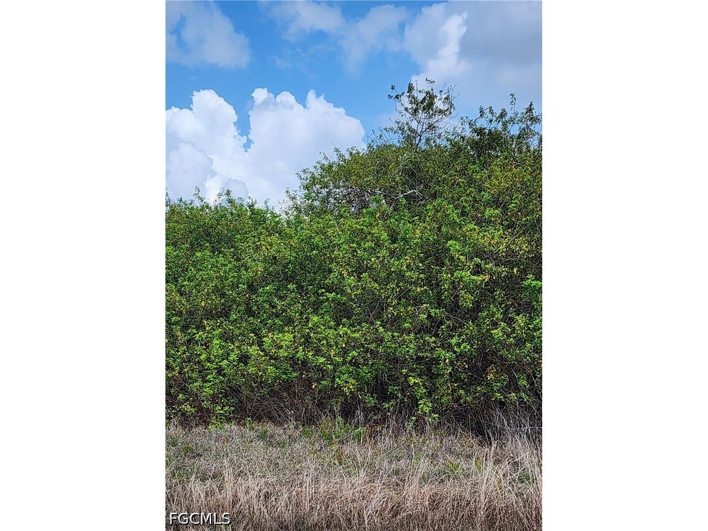 357 Neighborly Road Labelle FL 33935 2026015255 image3