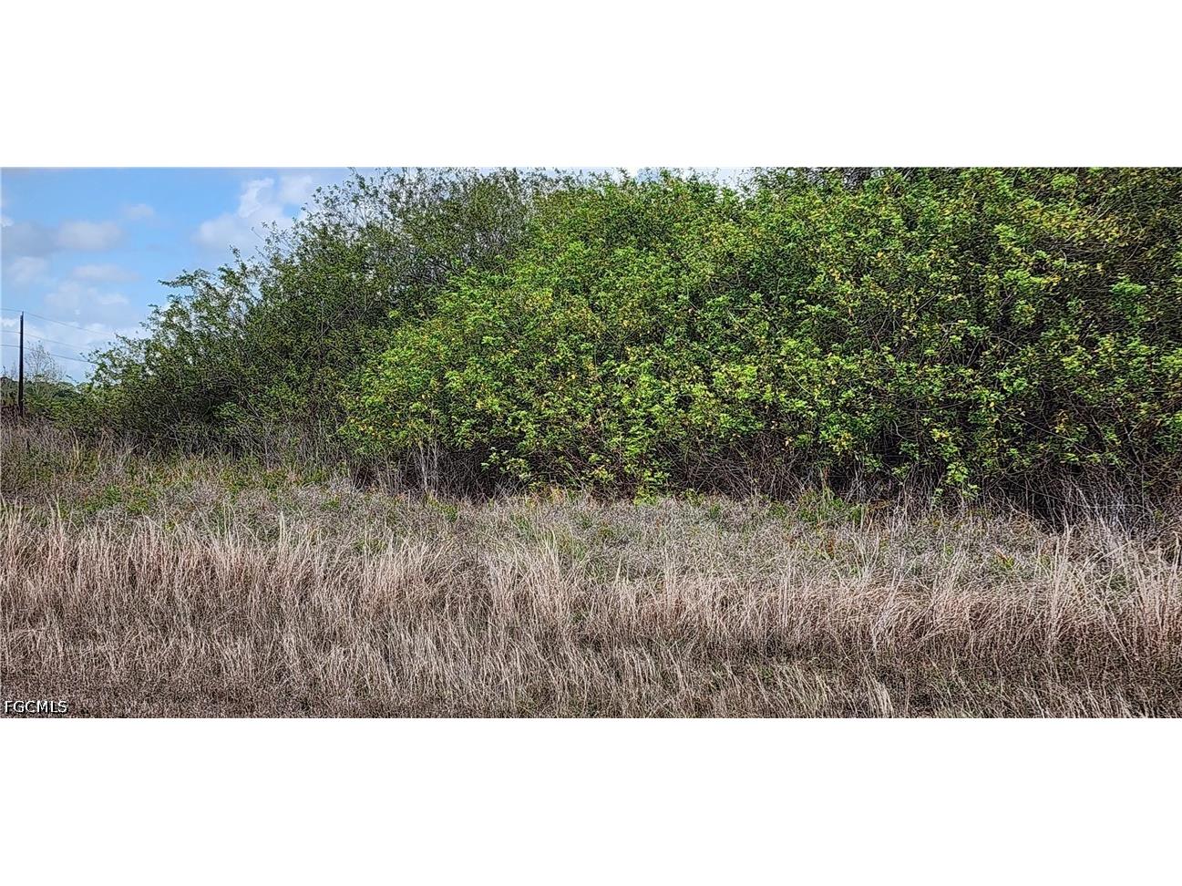 357 Neighborly Road Labelle FL 33935 2026015255 image4