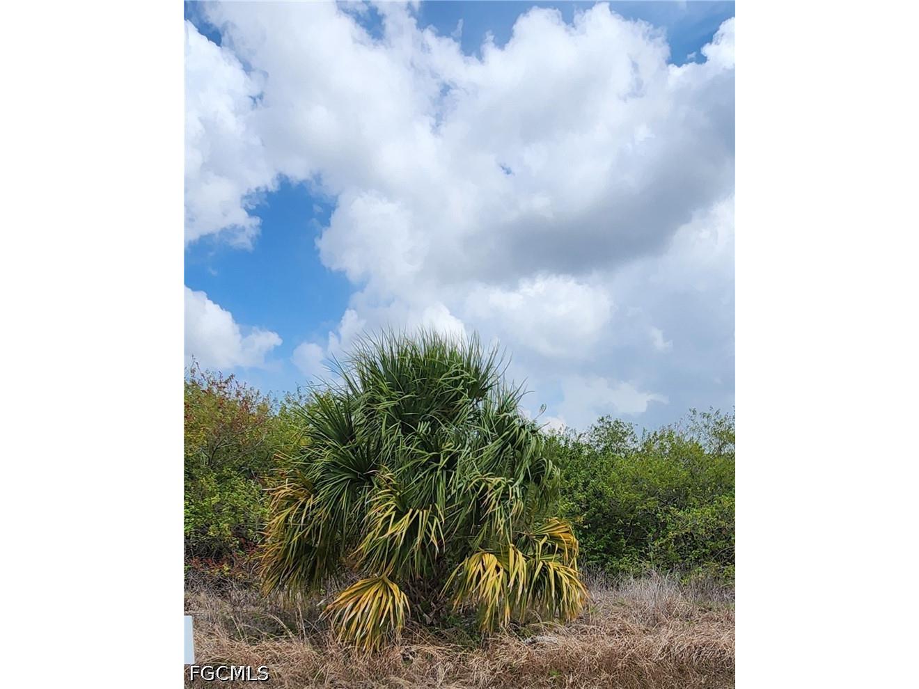 357 Neighborly Road Labelle FL 33935 2026015255 image7