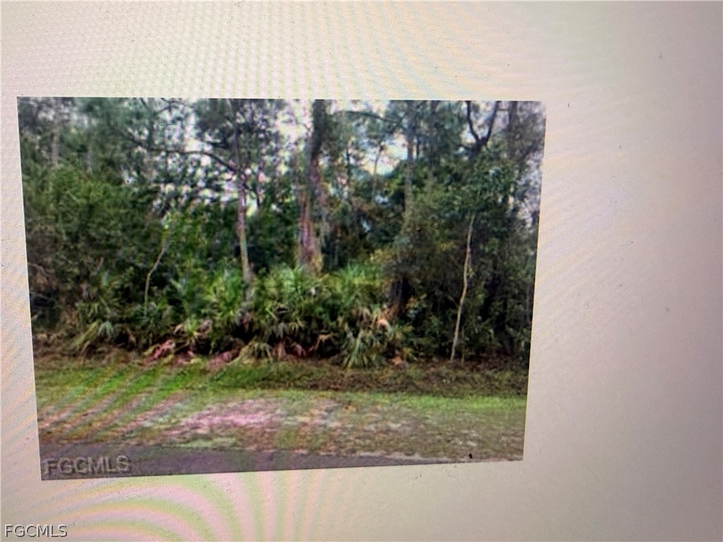 3585 Gasparilla Street Bokeelia FL 33956 2026007066 image5