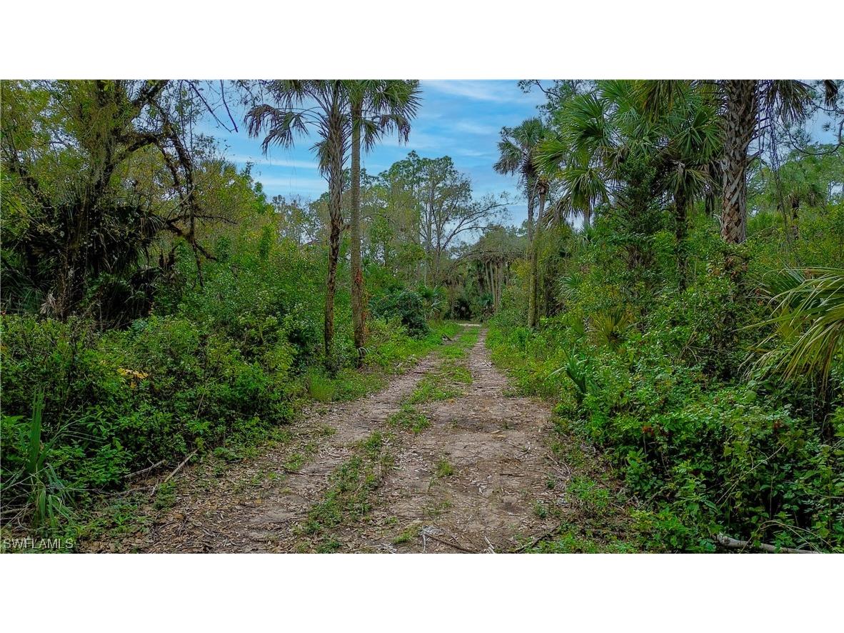 3588 36th Avenue SE Naples FL 34117 224002458 image1