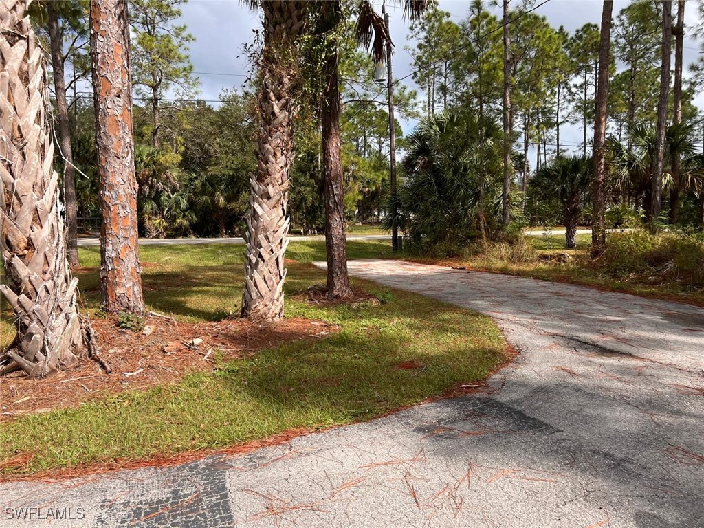 3590 10th Avenue NE Naples FL 34120 225073798 image21