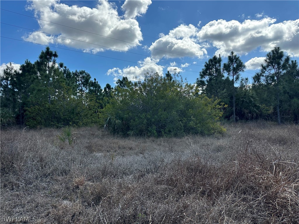 35XX Everglades Boulevard N Naples FL 34120 226006453 image4