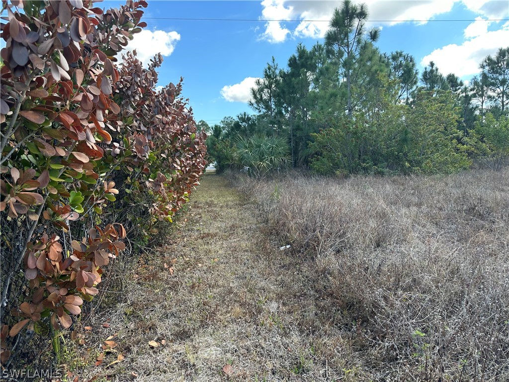 35XX Everglades Boulevard N Naples FL 34120 226006453 image6