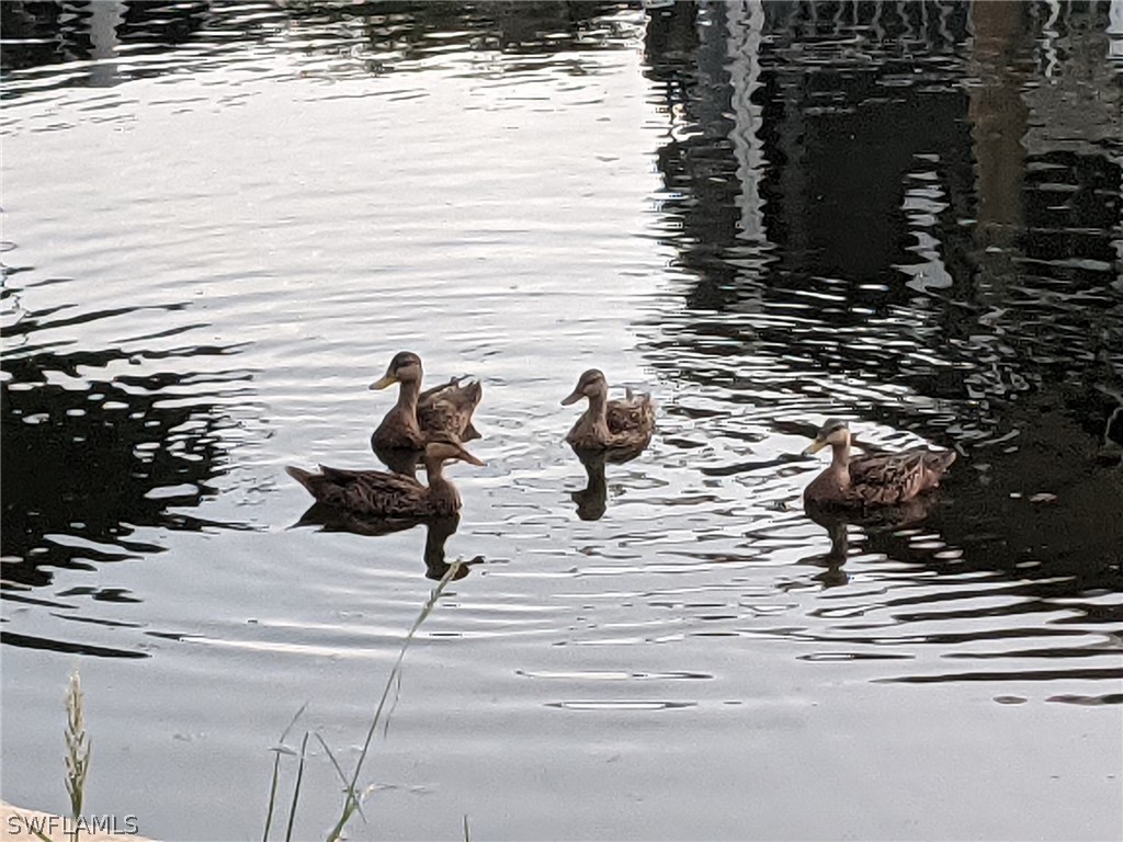 36 Emily Lane Fort Myers Beach FL 33931 224049707 image20