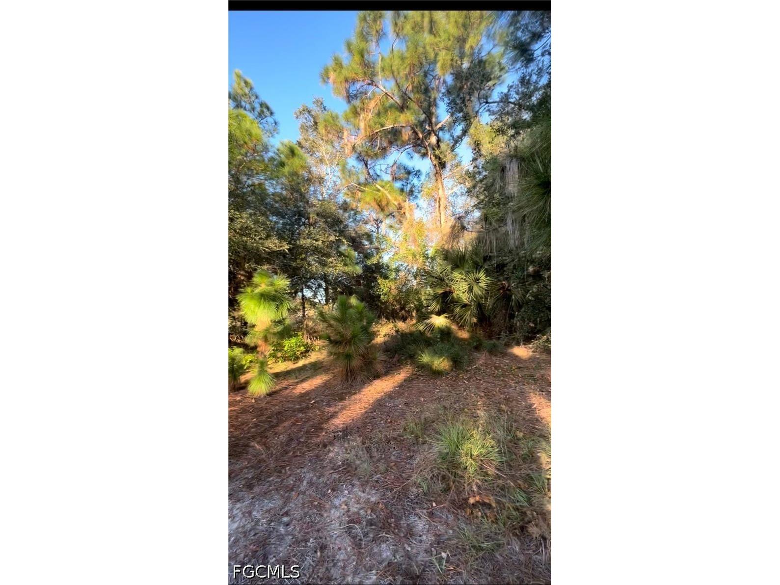 360 N Quebrada Street Clewiston FL 33440 2026021713 image9