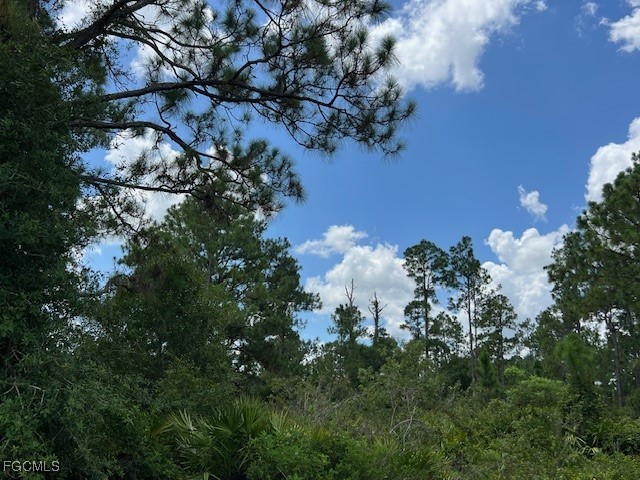 3602 E 11th Street Lehigh Acres FL 33972 2025002264 image1