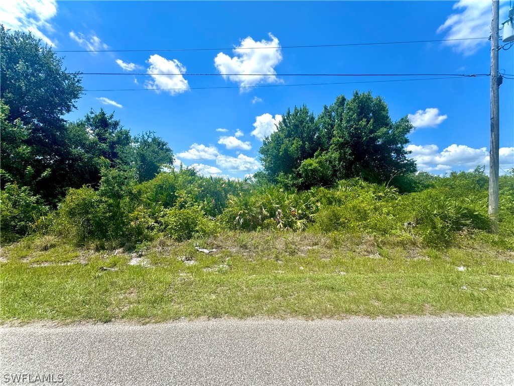 3605 13th Street SW Lehigh Acres FL 33976 224053097 image1