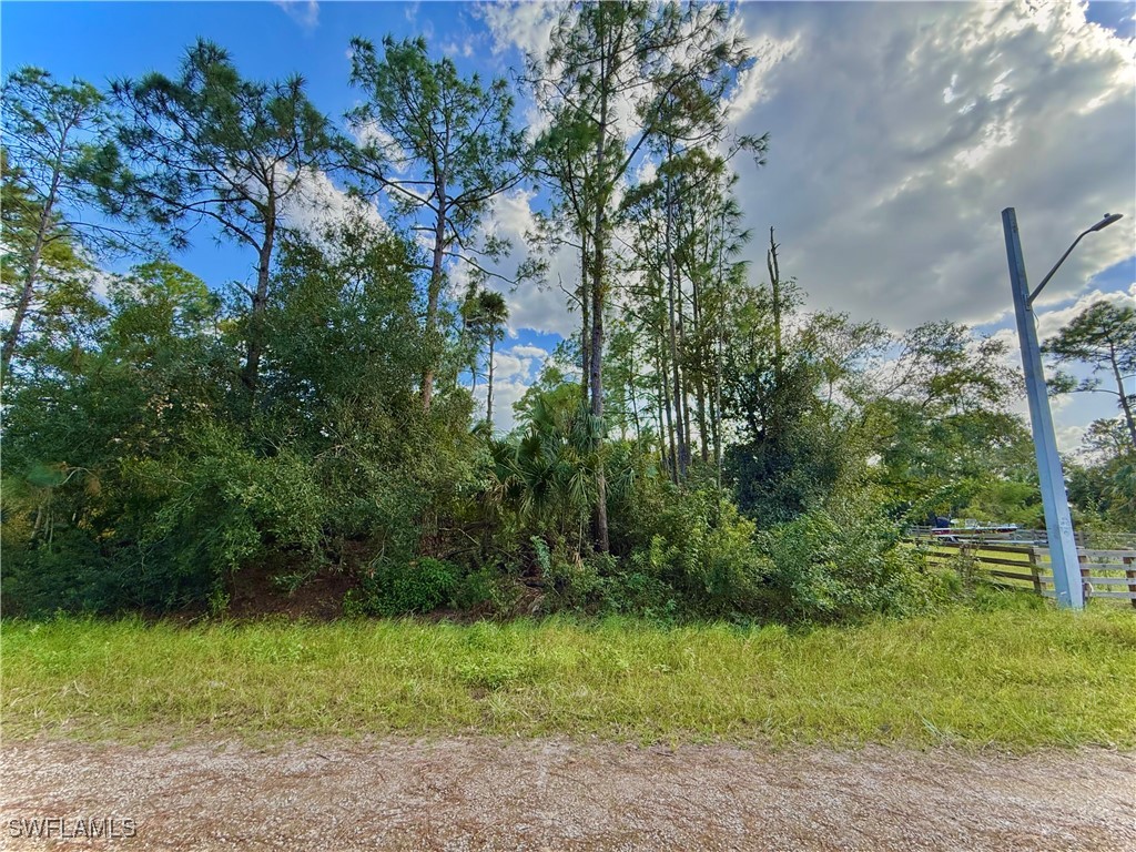 3605 54th Street W Lehigh Acres FL 33971 224087630 image1