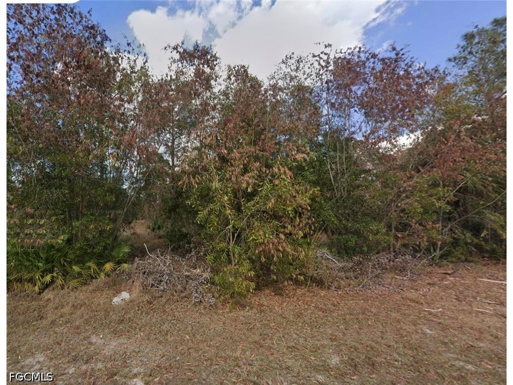 3605 E 3rd Street Lehigh Acres FL 33936 2026015104 image3