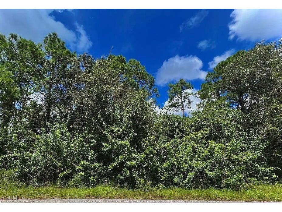 3606 50th Street W Lehigh Acres FL 33971 2025010787 image1