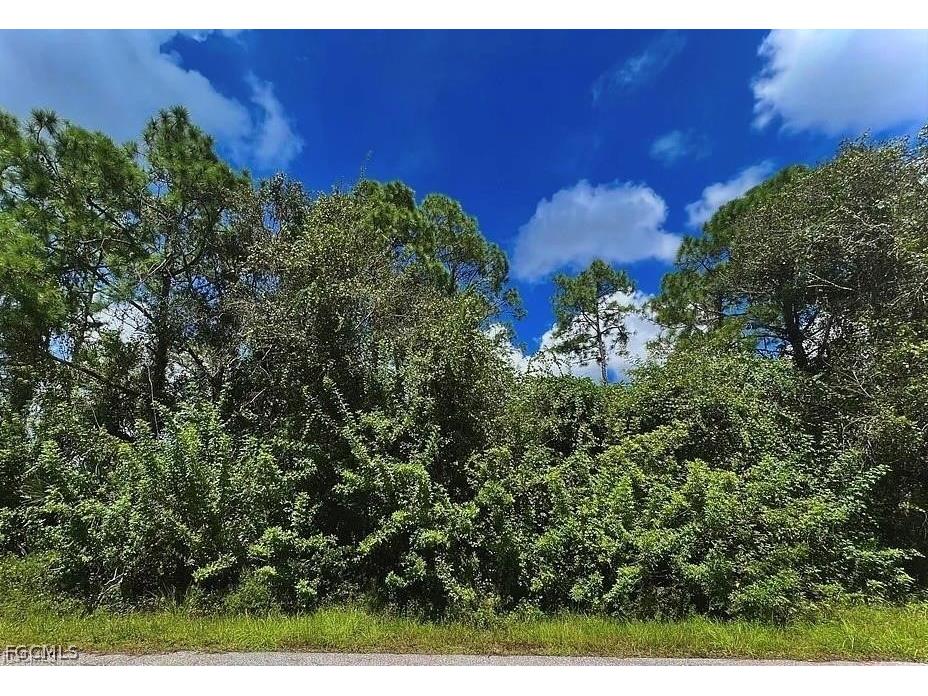 3606 50th Street W Lehigh Acres FL 33971 2026007979 image2