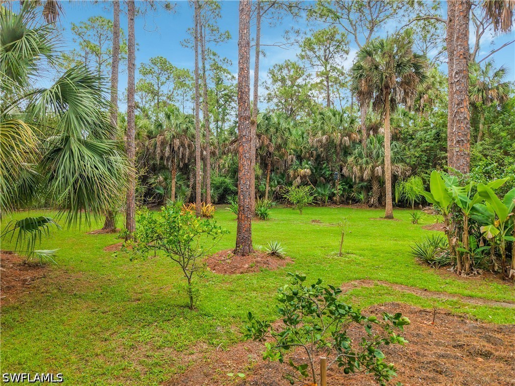 361 39th Avenue NE Naples FL 34120 226020495 image32