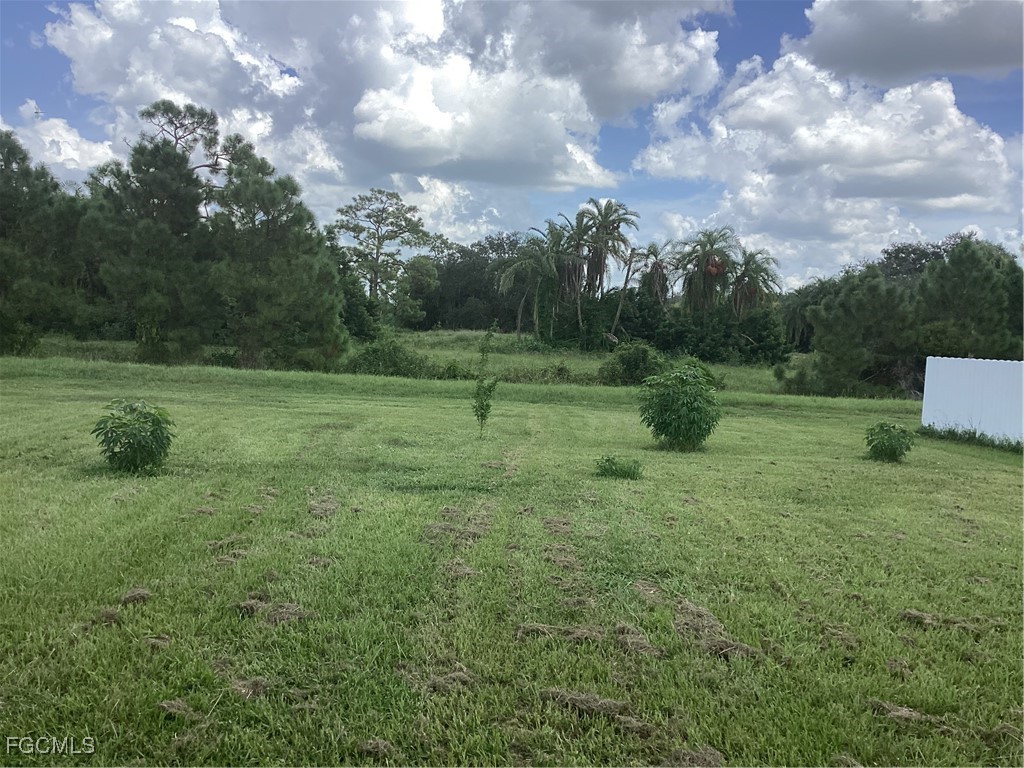 361 Ranier Avenue Lehigh Acres FL 33974 225019868 image25