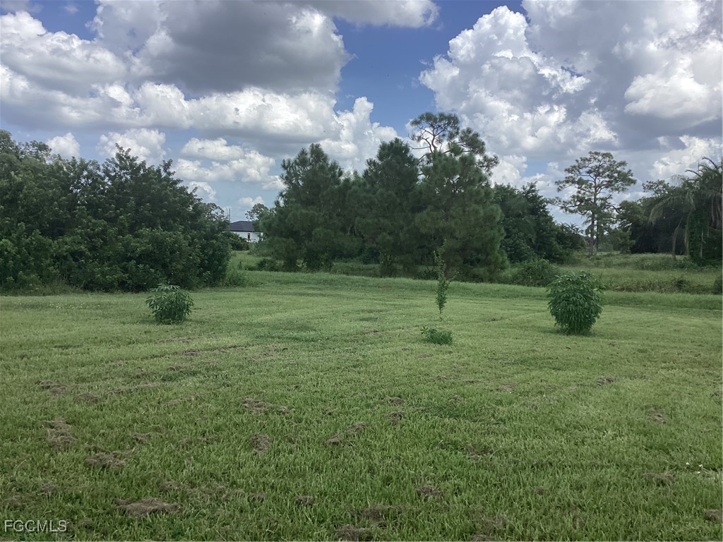 361 Ranier Avenue Lehigh Acres FL 33974 225019868 image27