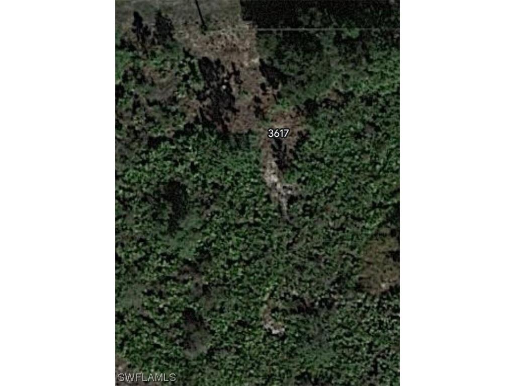 3617 42nd Street SW Lehigh Acres FL 33976 224013046 image1