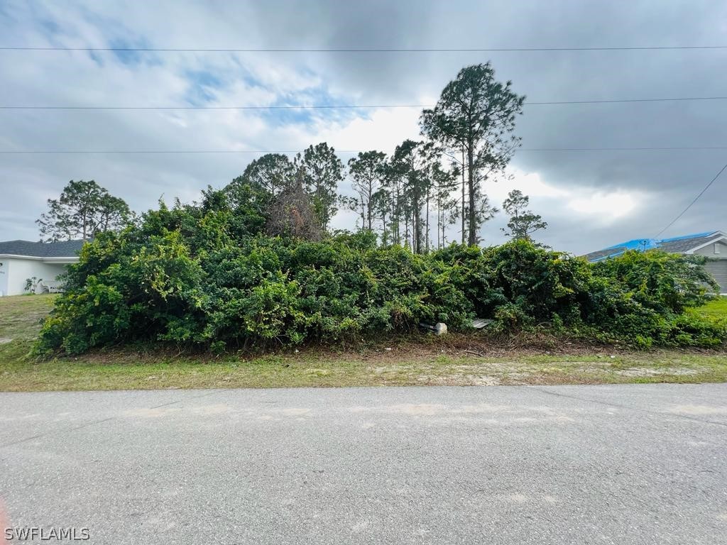3617 4th Street SW Lehigh Acres FL 33976 223009802 image1