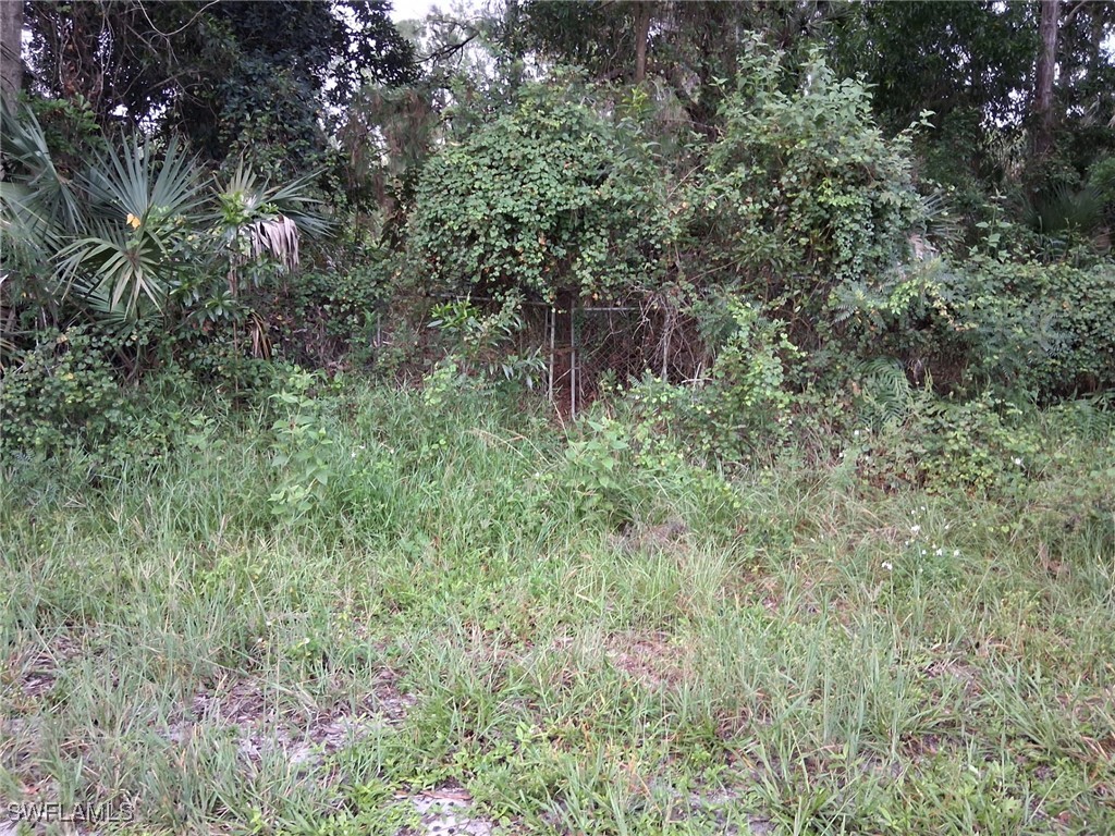  Naples FL 34117 225069536 image1