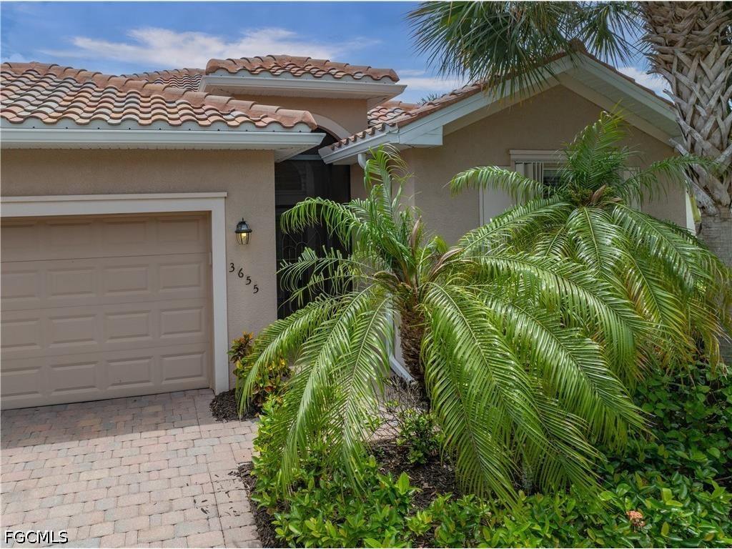 3655 Sugarelli Avenue Cape Coral FL 33909 2026024616 image34