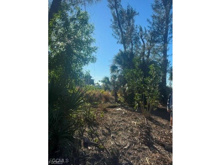 3666 Stabile Road Other FL 33956 2025003204 image5