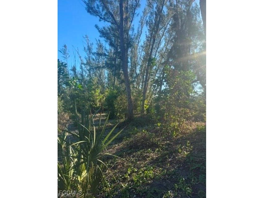 3666 Stabile Road Other FL 33956 2025003204 image6