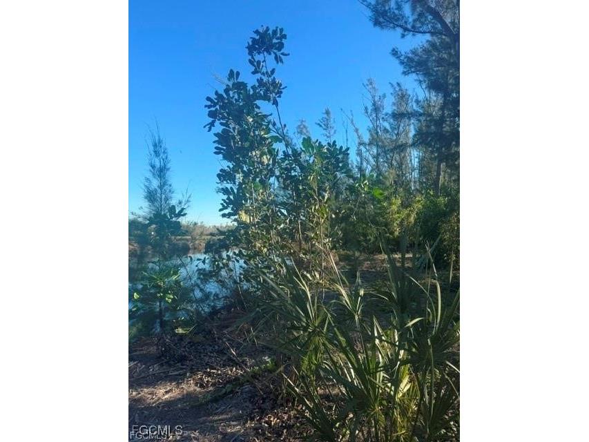 3666 Stabile Road Other FL 33956 2025003204 image7