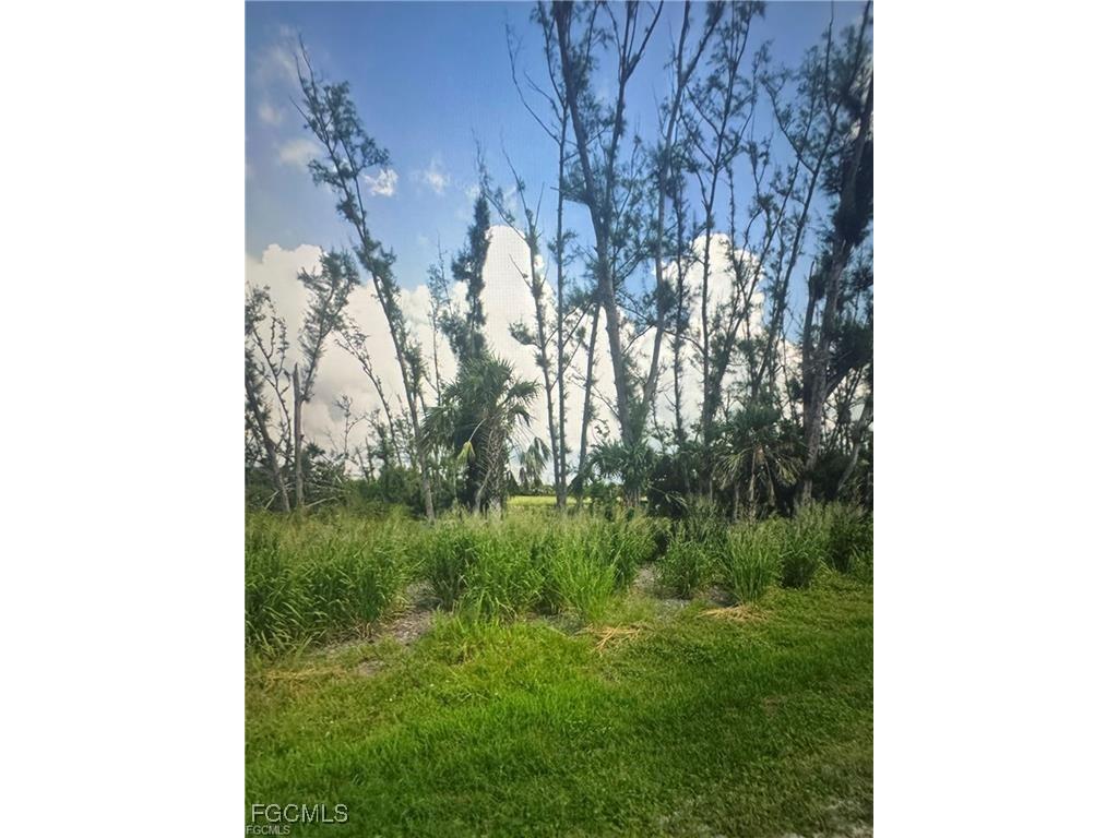 3666 Stabile Road Other FL 33956 2025003204 image8