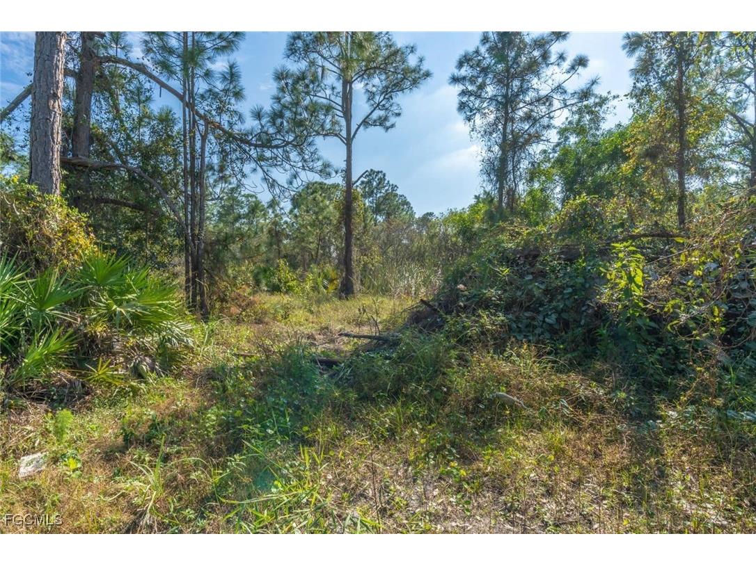 3690 31st Avenue NE Naples FL 34120 2025021774 image33