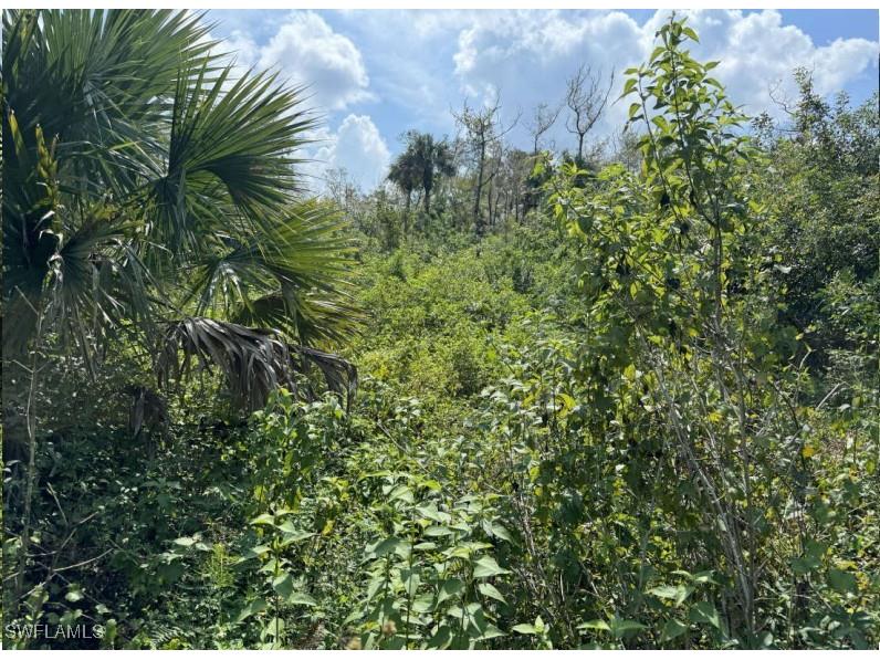 36XX 38th Ave Se Naples FL 34117 225004799 image10