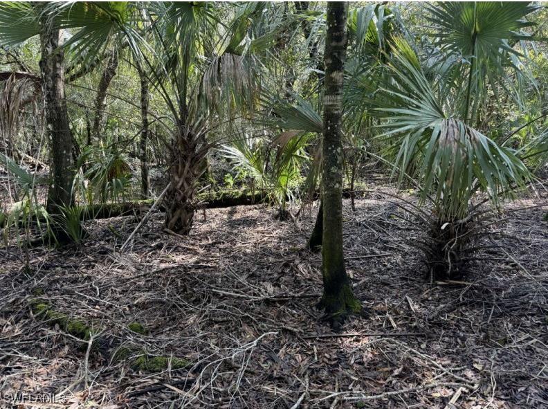 36XX 38th Ave Se Naples FL 34117 225004799 image7