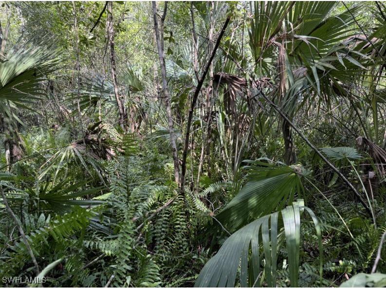 36XX 38th Ave Se Naples FL 34117 225004799 image8