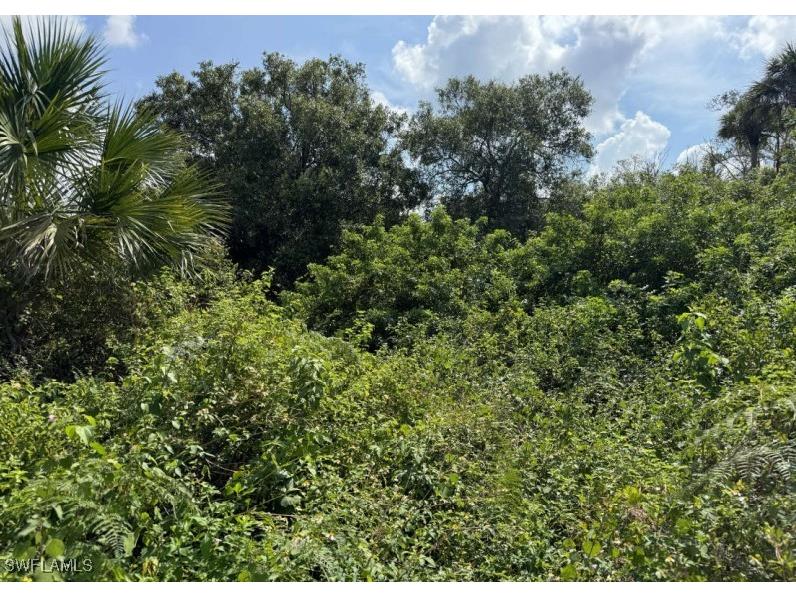 36XX 38th Ave Se Naples FL 34117 225004799 image9