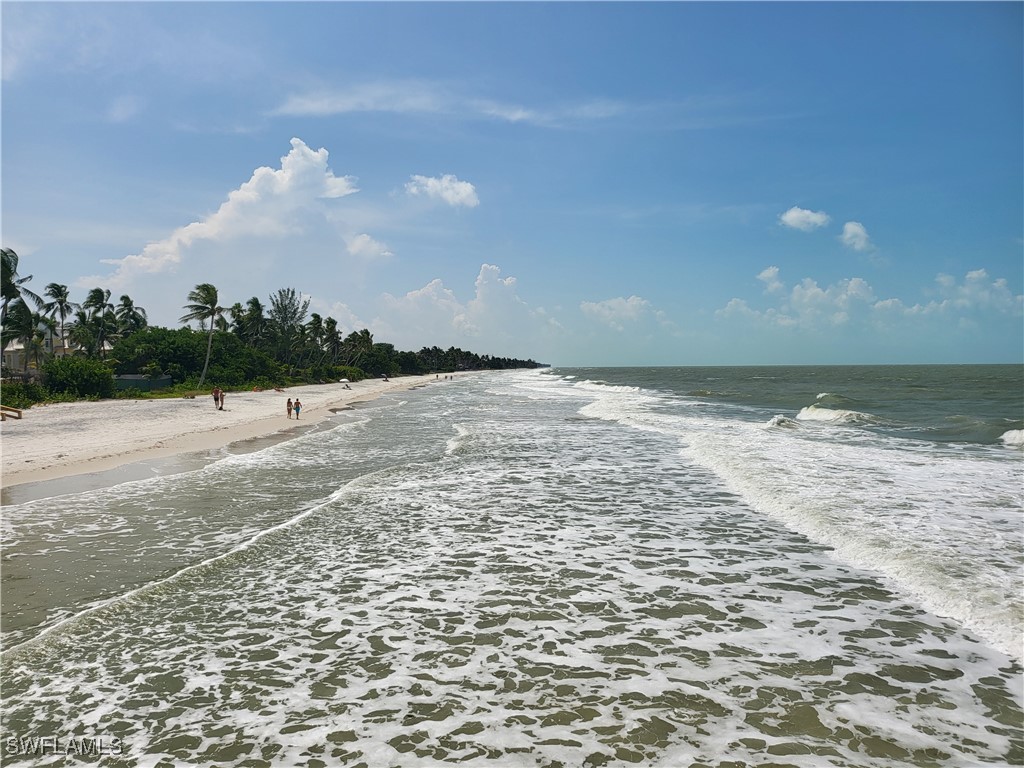 37 High Point Circle E #307 Naples FL 34103 225080751 image40