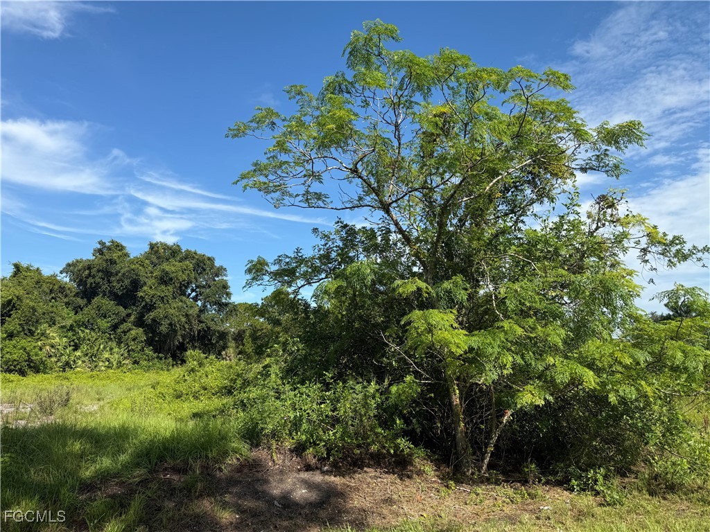 370 N Palomino Street Clewiston FL 33440 2025003758 image3