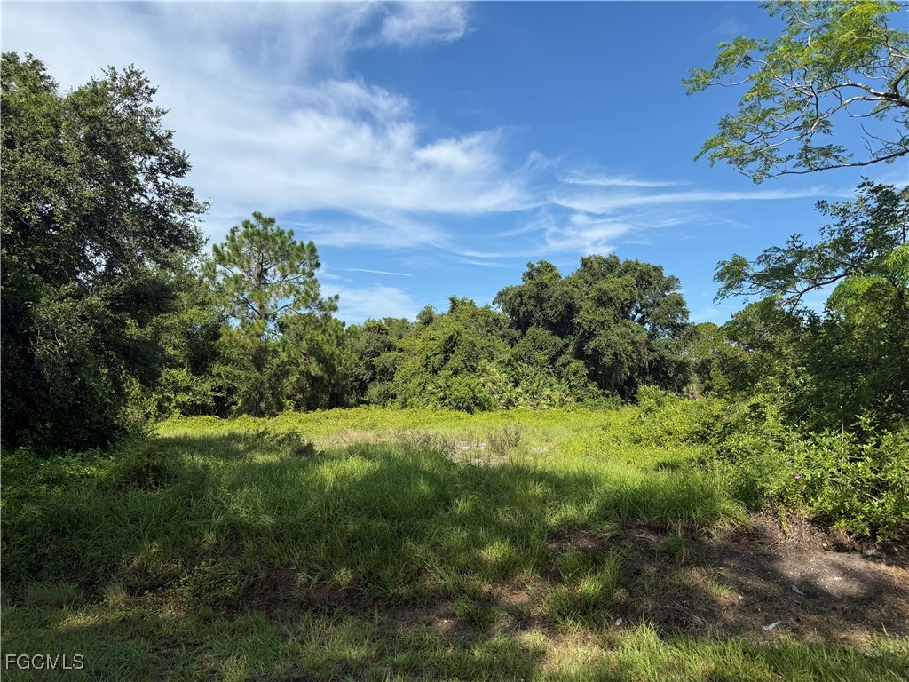 370 N Palomino Street Clewiston FL 33440 2025003758 image4