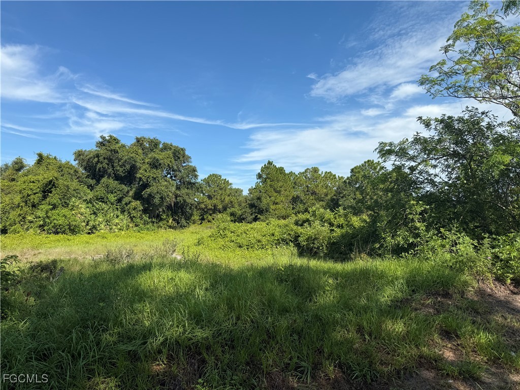 370 N Palomino Street Clewiston FL 33440 2025003758 image8