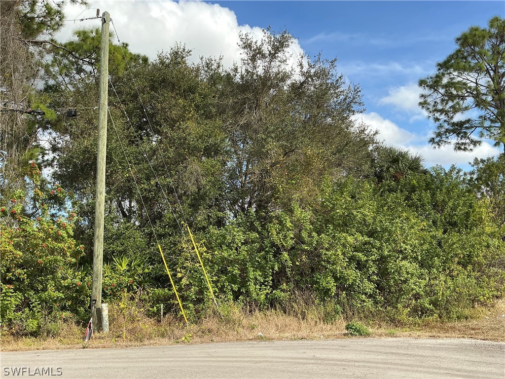 3700 Dora Avenue N Lehigh Acres FL 33971 226007128 image1