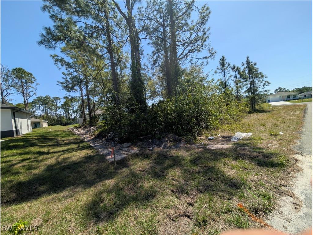 3700 Elaine Avenue N Lehigh Acres FL 33971 225027102 image1