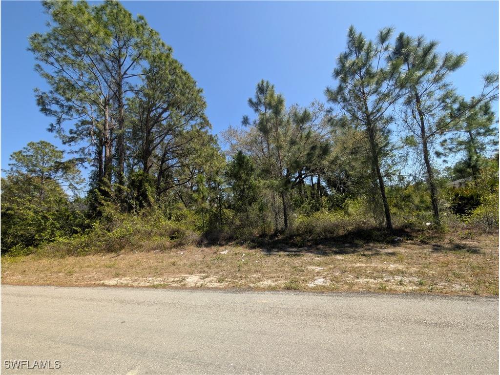 3700 Elaine Avenue N Lehigh Acres FL 33971 225027102 image4