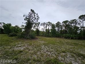 3700 NW 47th Lane Cape Coral FL 33993 2026004155 image12