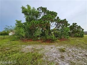 3700 NW 47th Lane Cape Coral FL 33993 2026004155 image14