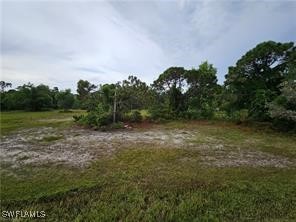 3700 NW 47th Lane Cape Coral FL 33993 225060285 image3