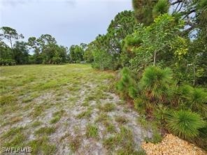 3700 NW 47th Lane Cape Coral FL 33993 225060285 image5