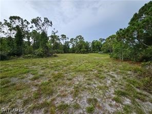 3700 NW 47th Lane Cape Coral FL 33993 225060285 image6