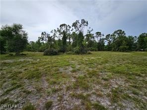 3700 NW 47th Lane Cape Coral FL 33993 225060285 image7