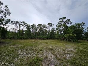 3700 NW 47th Lane Cape Coral FL 33993 225060285 image9