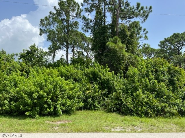 3702 4th Street SW Lehigh Acres FL 33976 223053804 image1