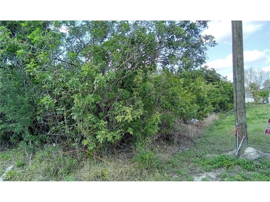 3702 8th Street SW Lehigh Acres FL 33976 224033375 image1