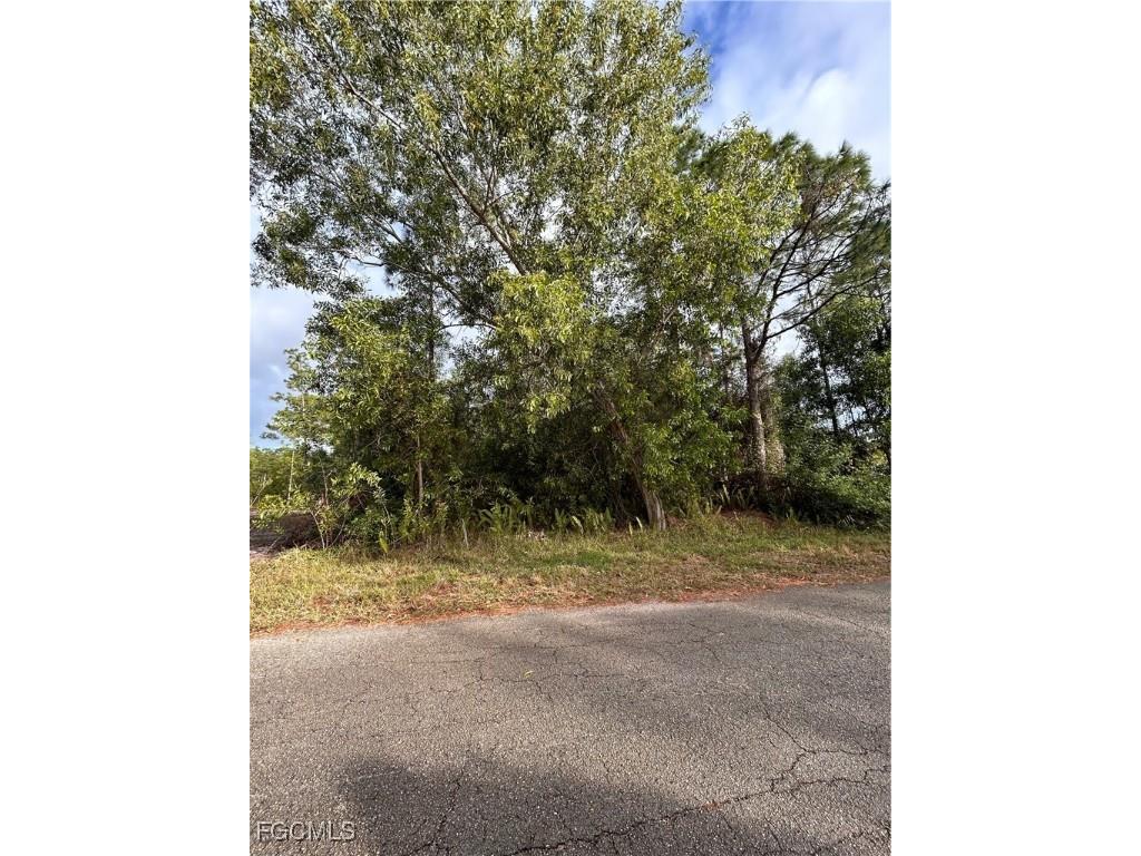 3703 E 3rd Street Lehigh Acres FL 33936 2025016055 image2